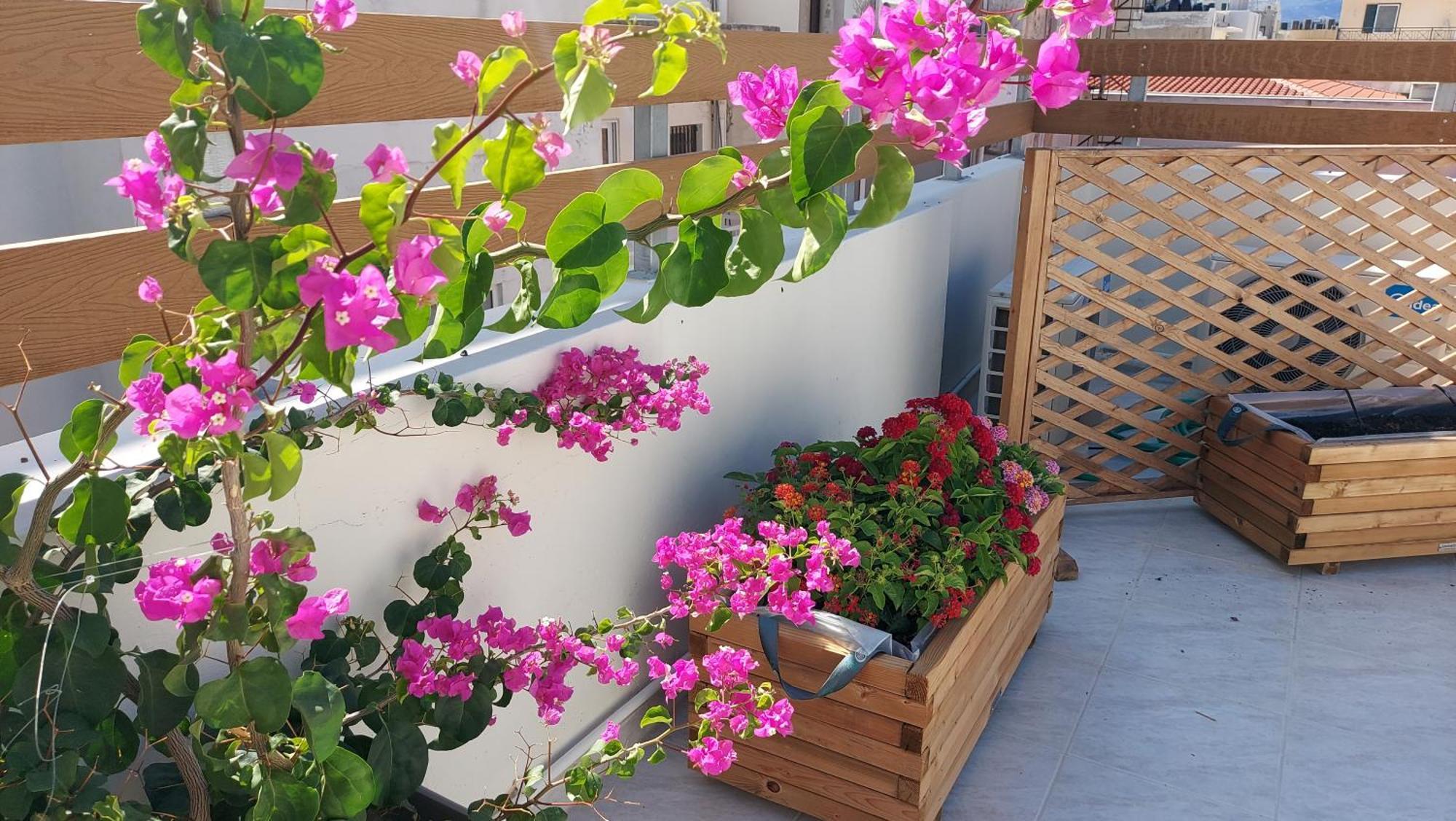 The Blue Apartment In The Heart Of Heraklion Екстериор снимка